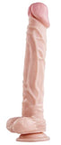 10 Inch Silicone Dildo for Women, Dong with Balls Fake Penis