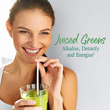 Garden of Life Raw Organic Perfect Food Green Superfood Juiced Greens Powder