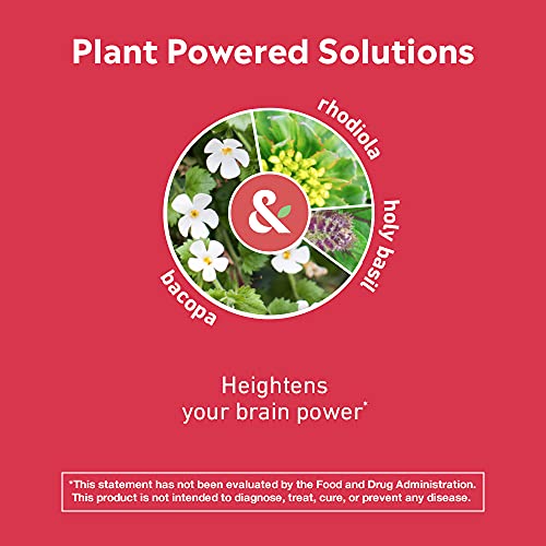 Stem & Root Brain Boost Herbal Supplement