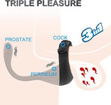 3 in 1 Vibrating Taint Teaser with Remote Adjustable Penis Ring & Anal Vibrator